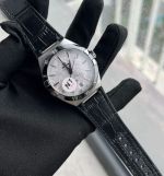 N1 Factory Omega Replica 41mm 8900/8901 Movement Black Watch Strap Watch